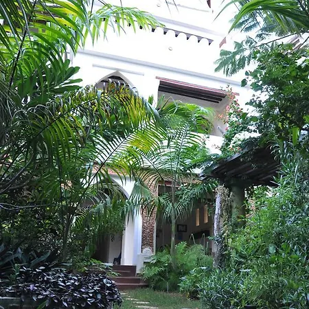 Sweet Banana House Bed & Breakfast